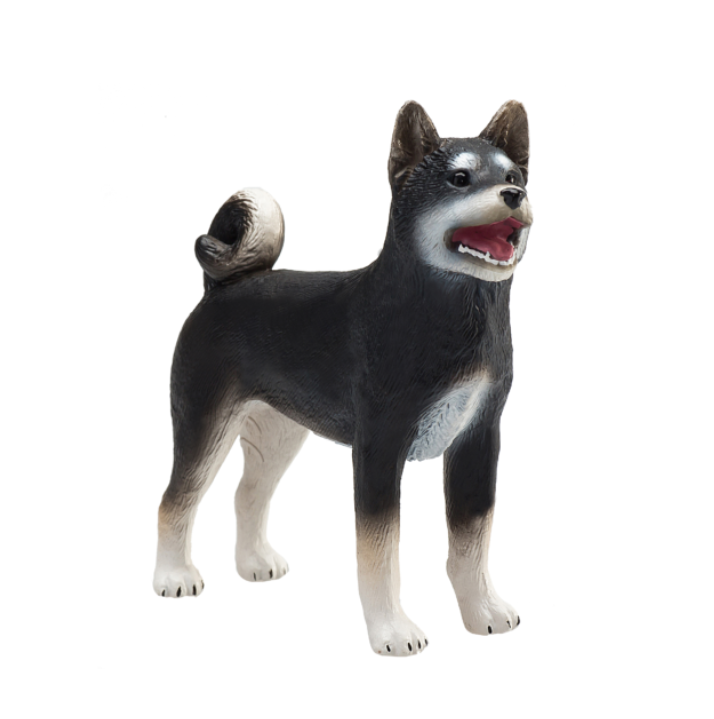 سگ شیبا مشکی موجو  Shiba Inu Black 387363